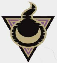 Sword and Shield Allister Insigna Gym Pin