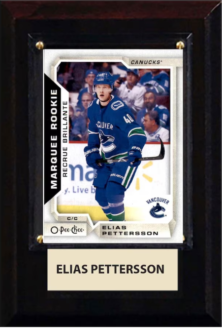 Vancouver Canucks Elias Pettersson 2021 NHL 4'' x 6'' Plaque with Trading Card